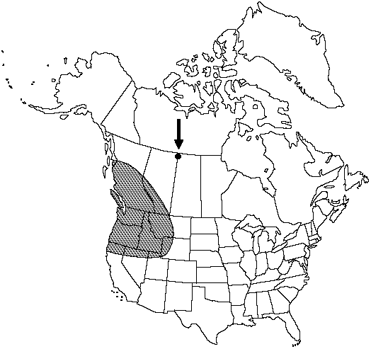 Map of <i>Woodsia oregana  oregana</i> in Canada