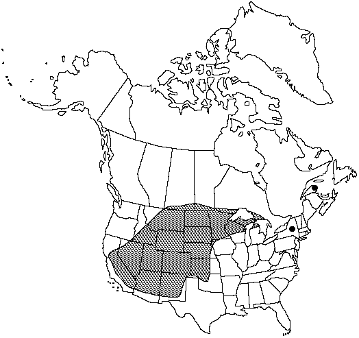 Map of <i>Woodsia oregana cathcartiana </i> in Canada