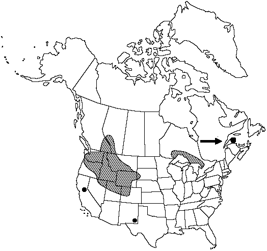 Map of <i>Woodsia scopulina  laurentiana</i> in Canada