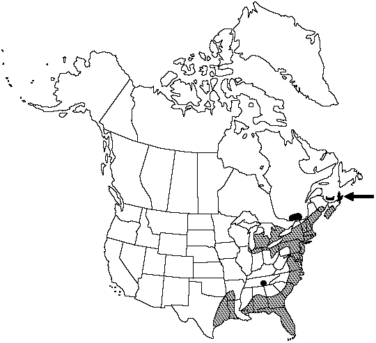 Map of Virginia chain fern in Canada