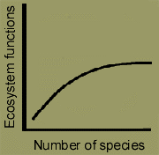 The redundancy hypothesis