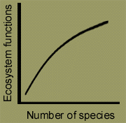 The rivet hypothesis