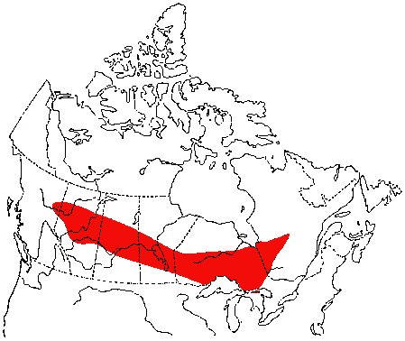 Map of Connecticut Warbler in Canada