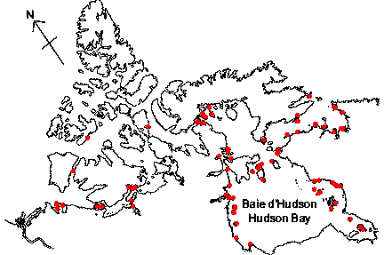 Map of <i>Margarites costalis</i> in Canada