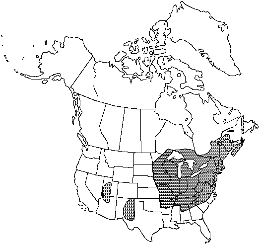 Map of Bulblet bladder fern in Canada