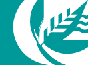 CEAA logo