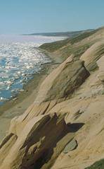 Photo: Clayton Kennedy, Canadian Museum of Nature