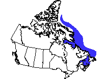 Map of the Northwest Atlantic Marine ecozone