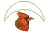 Back to the main birds page
